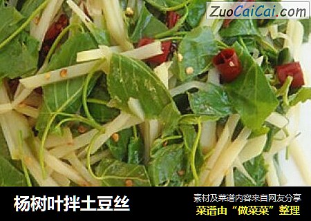 杨树叶拌土豆丝