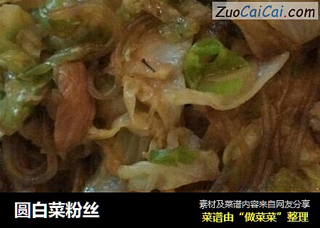 圆白菜粉丝