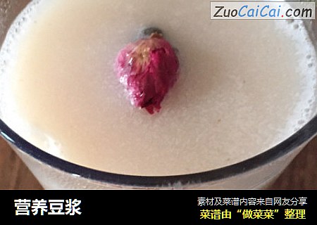 营养豆浆