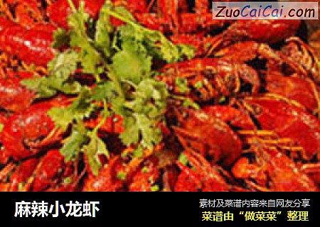 麻辣小龙虾
