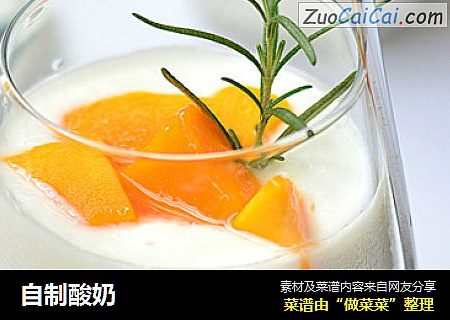 自制酸奶