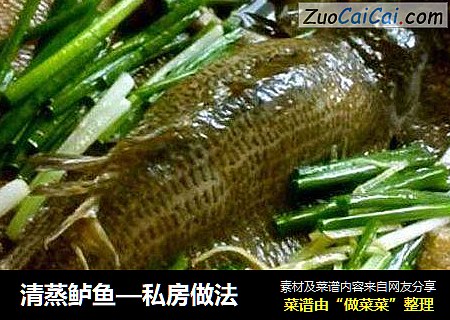 清蒸鲈鱼—私房做法