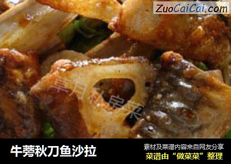 牛蒡秋刀鱼沙拉