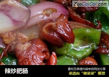 辣炒肥肠