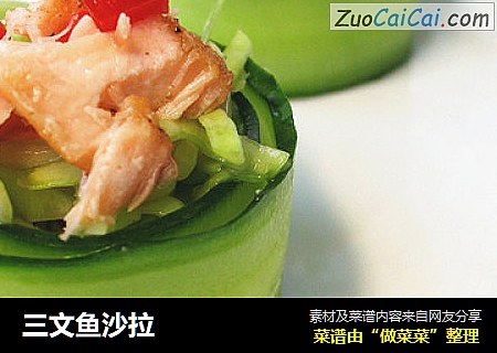 三文鱼沙拉