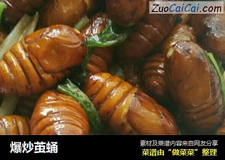 爆炒茧蛹