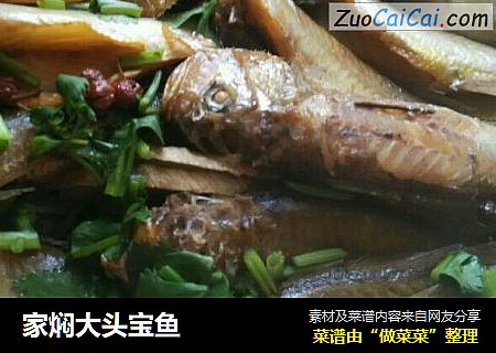 家焖大头宝鱼