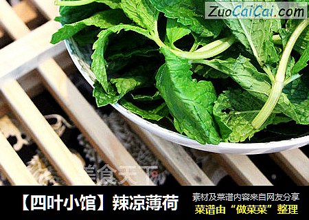 【四叶小馆】辣凉薄荷