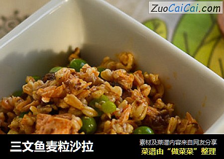 三文鱼麦粒沙拉