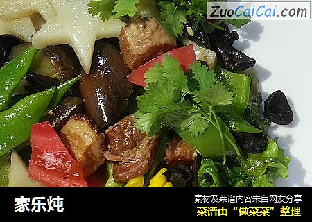 家乐炖