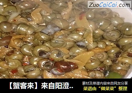 【蟹客来】来自阳澄湖的香辣小螺蛳