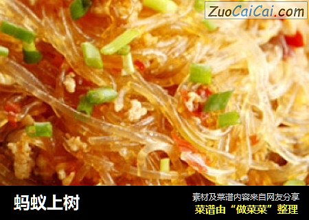 蚂蚁上树