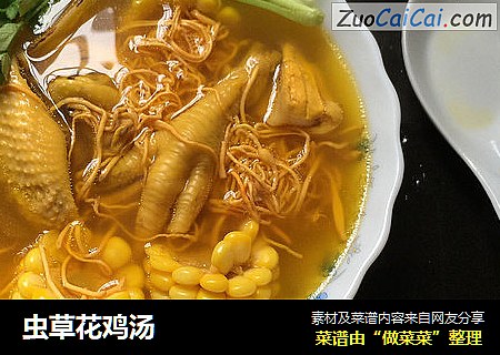 虫草花鸡汤