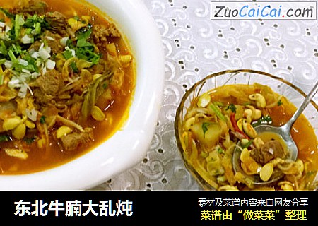 东北牛腩大乱炖