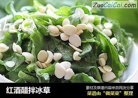 红酒醋拌冰草