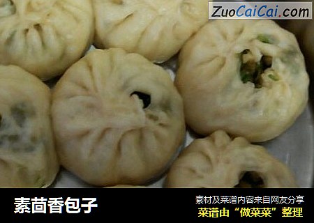 素茴香包子