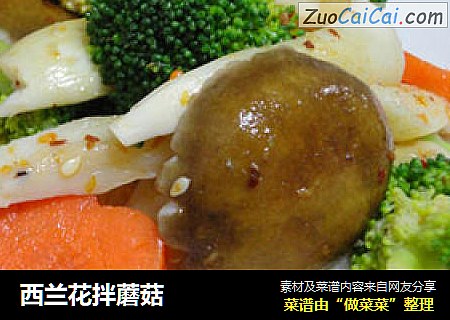 西兰花拌蘑菇