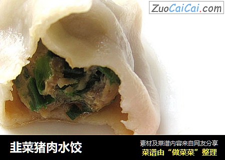 韭菜猪肉水饺