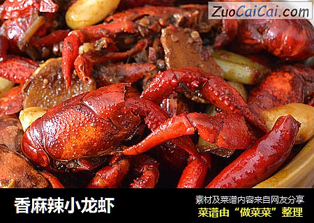 香麻辣小龙虾
