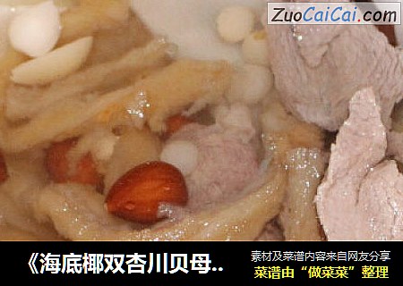 《海底椰双杏川贝母汤》