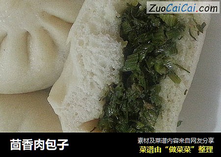 茴香肉包子