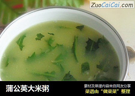蒲公英大米粥