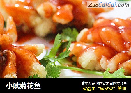 小试菊花鱼