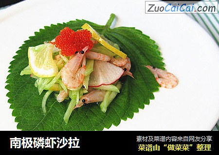 南极磷虾沙拉