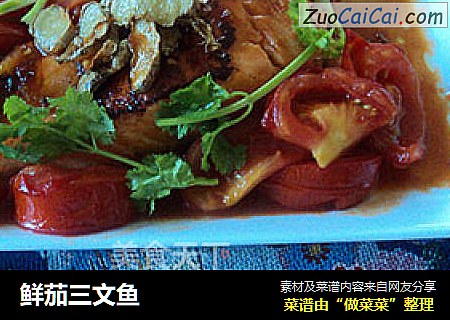 鲜茄三文鱼
