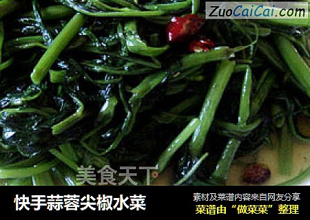 快手蒜蓉尖椒水菜