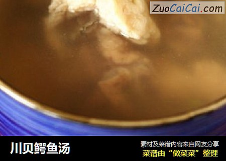 川贝鳄鱼汤
