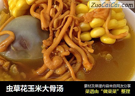 虫草花玉米大骨汤