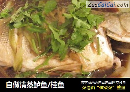 自做清蒸鲈鱼/桂鱼