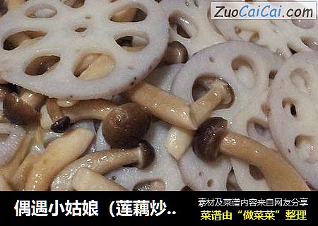 偶遇小姑娘（莲藕炒蟹味菇）