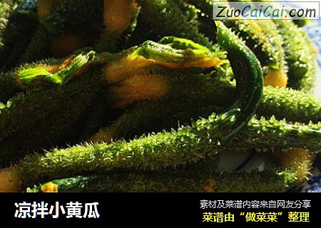 凉拌小黄瓜