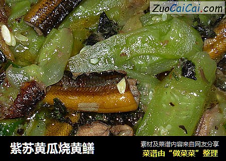 紫苏黄瓜烧黄鳝