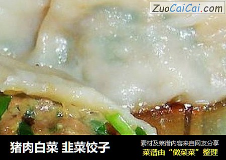 猪肉白菜 韭菜饺子