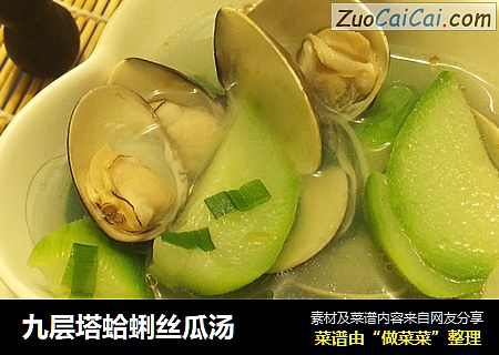 九层塔蛤蜊丝瓜汤