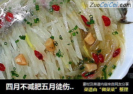 四月不减肥五月徒伤悲-快速瘦脂达人银丝鲫鱼汤