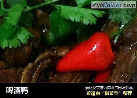 啤酒鸭