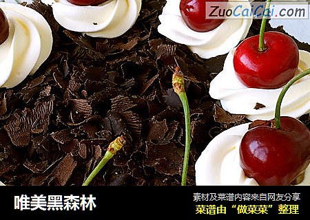唯美黑森林