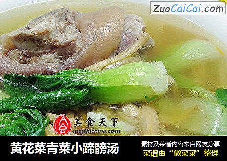 黄花菜青菜小蹄髈汤