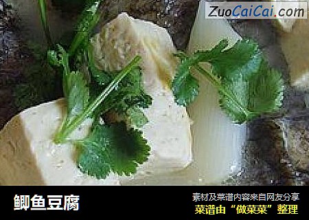 鲫鱼豆腐