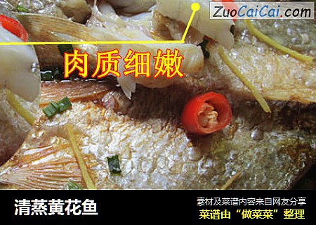 清蒸黄花鱼