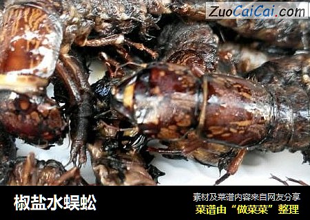 椒盐水蜈蚣
