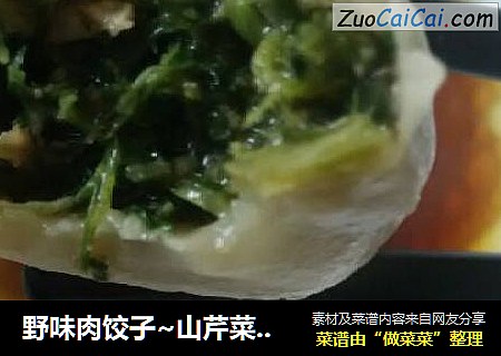 野味肉饺子~山芹菜大肉饺儿