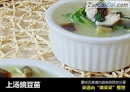 上汤豌豆苗