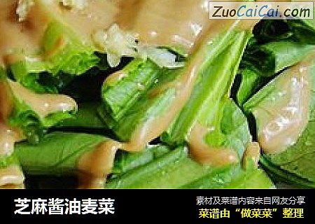 芝麻酱油麦菜