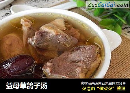 益母草鸽子汤