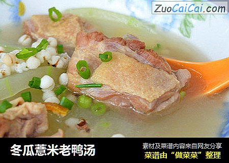 冬瓜薏米老鸭汤